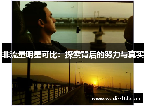 非流量明星可比：探索背后的努力与真实
